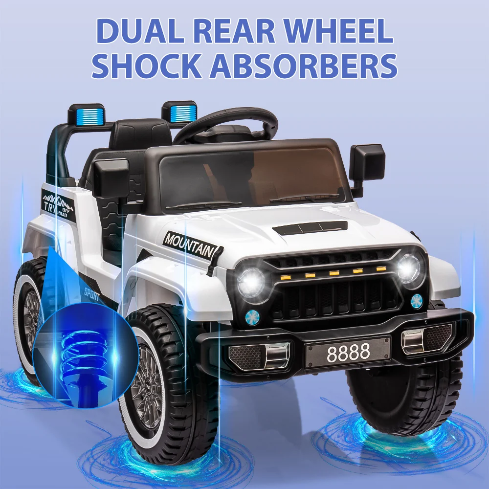Dual Rear Wheel Shock Absorbers