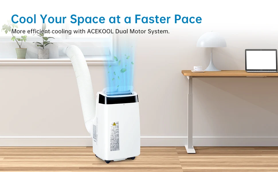 Dual Motor System Efficiency