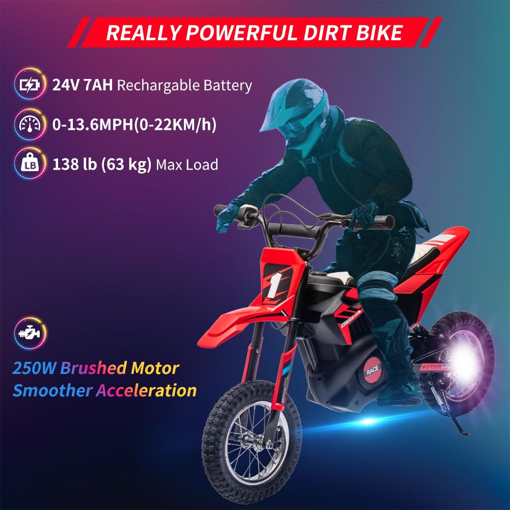 250W Brushed Motor and 24V 7Ah Rechargeable Battery Dirt Bike